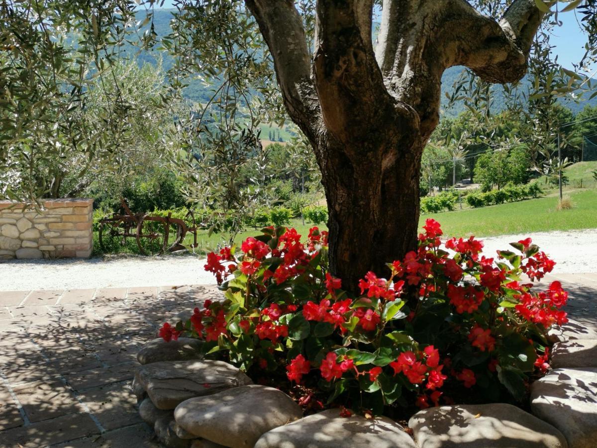 Agriturismo Sole Luna Piano Delle Pieve Kültér fotó