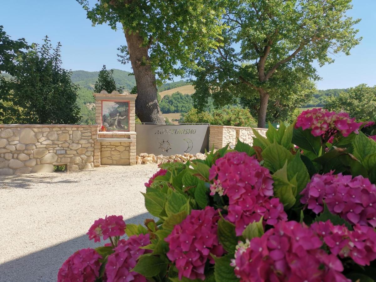 Agriturismo Sole Luna Piano Delle Pieve Kültér fotó