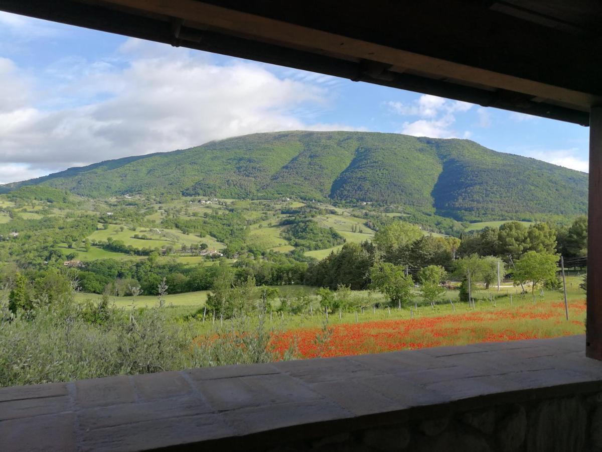 Agriturismo Sole Luna Piano Delle Pieve Kültér fotó